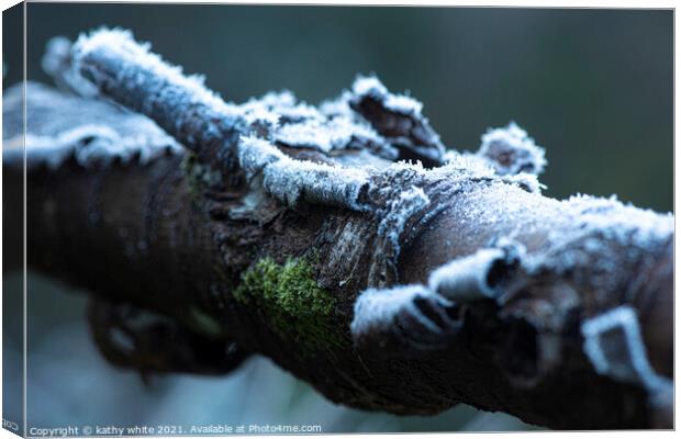 Lichen and  moss frozen on a tree branch Canvas Print by kathy white