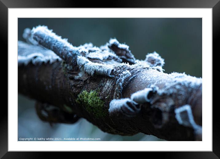 Lichen and  moss frozen on a tree branch Framed Mounted Print by kathy white
