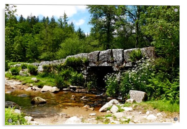 Stone arch bridge amidst Dartmoor greenery Acrylic by Roger Mechan