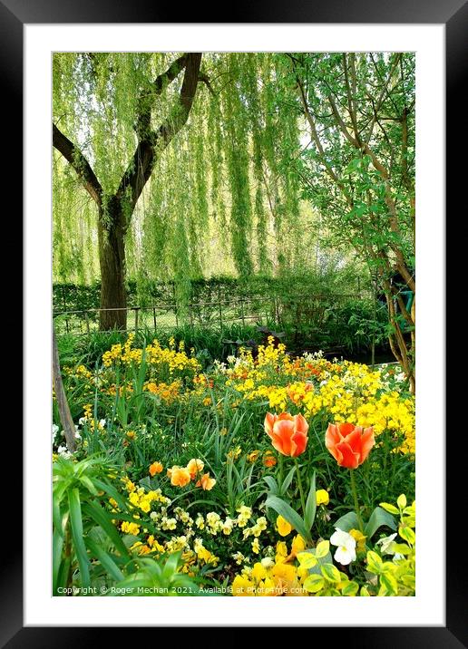 Willow's Garden Tapestry Framed Mounted Print by Roger Mechan