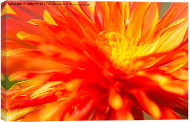 Dahlia flower fire with in Canvas Print by kathy white