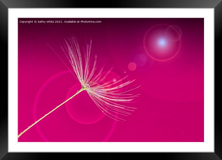 Pretty in pink,dandelion seed,  Framed Mounted Print by kathy white