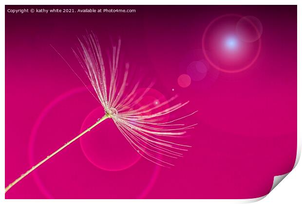 Pretty in pink,dandelion seed,  Print by kathy white