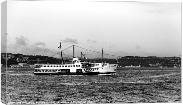 Cruise ship on a Bosphorus, Istanbul, Turkey Canvas Print by Sergey Fedoskin