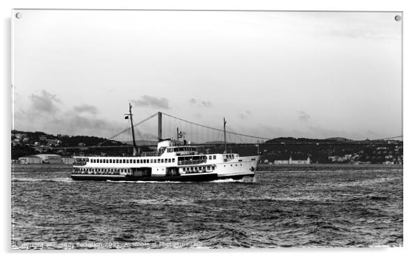 Cruise ship on a Bosphorus, Istanbul, Turkey Acrylic by Sergey Fedoskin