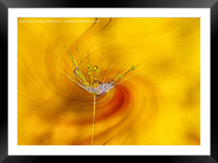 Dandelion seed head with flowers Framed Mounted Print by kathy white