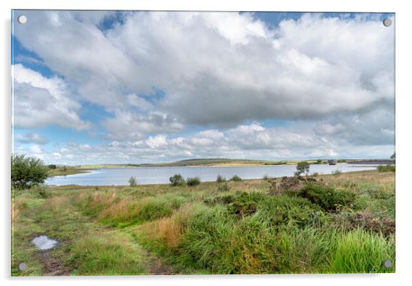 Colliford lake cornwall Acrylic by Eddie John