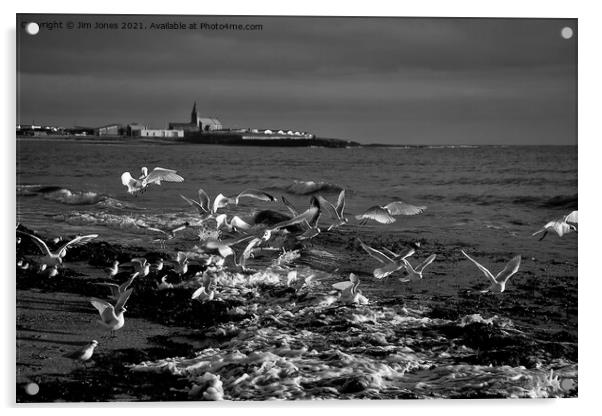 Seagulls feeding amongst the kelp - B&W Acrylic by Jim Jones
