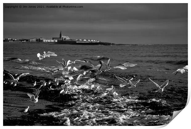 Seagulls feeding amongst the kelp - B&W Print by Jim Jones