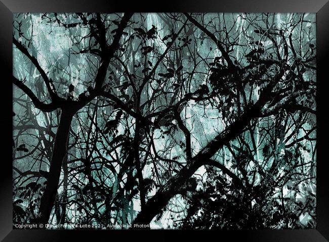 Leafy Dark Nature Background Framed Print by Daniel Ferreira-Leite