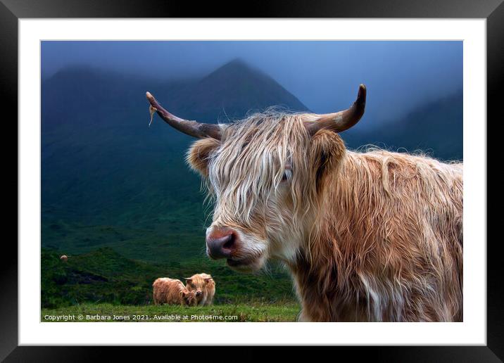 Highland Cow at Sconser Isle of Skye. Framed Mounted Print by Barbara Jones