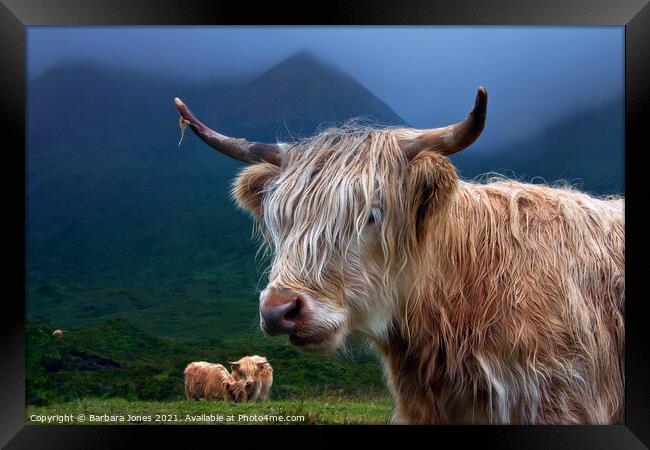 Highland Cow at Sconser Isle of Skye. Framed Print by Barbara Jones