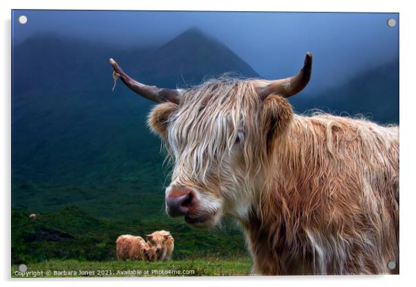 Highland Cow at Sconser Isle of Skye. Acrylic by Barbara Jones