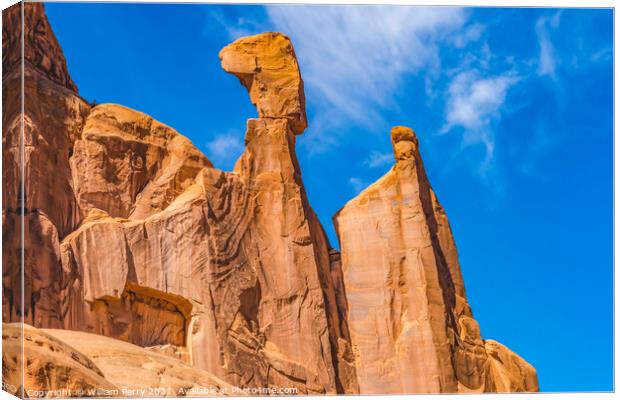 Queen Nefertiti Rock Park Avenue Section Arches National Park Mo Canvas Print by William Perry