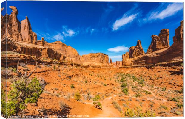 Park Avenue Section Arches National Park Moab Utah  Canvas Print by William Perry