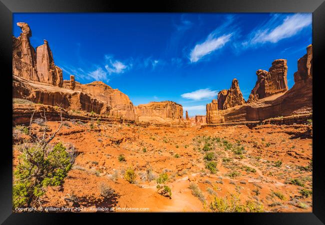Park Avenue Section Arches National Park Moab Utah  Framed Print by William Perry