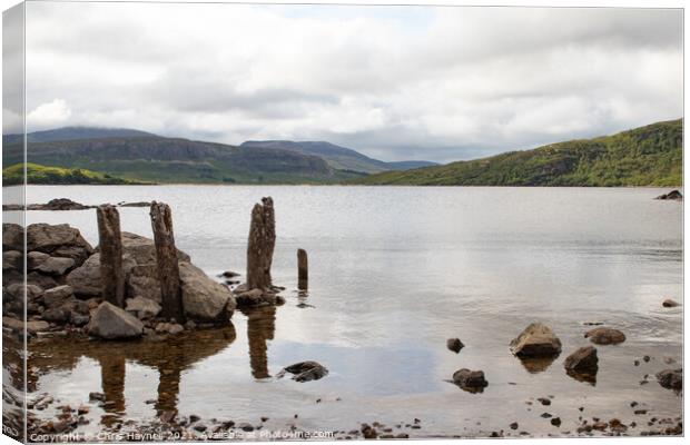 Loch Assynt Canvas Print by Chris Haynes