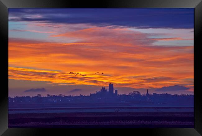 Sunrise over Ely Cathedral, 10th December 2018 Framed Print by Andrew Sharpe