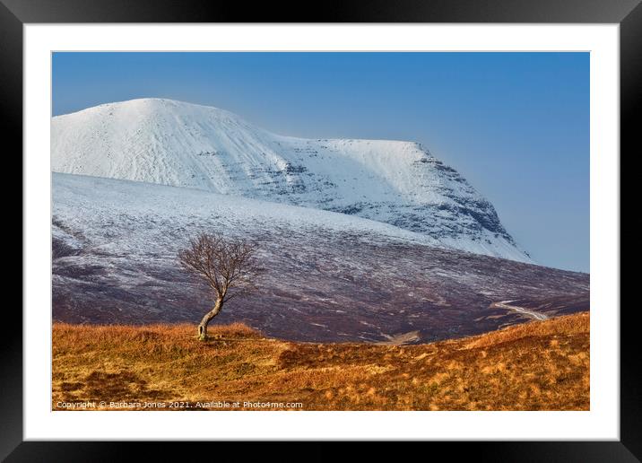 Quinag and The Rowan Tree in Winter, Assynt.  Framed Mounted Print by Barbara Jones