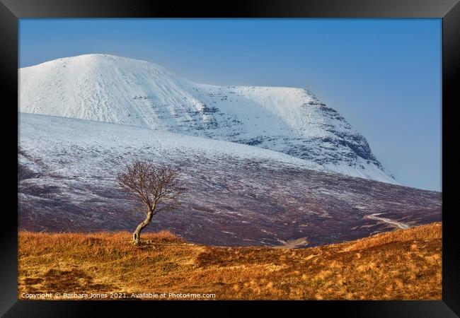 Quinag and The Rowan Tree in Winter, Assynt.  Framed Print by Barbara Jones