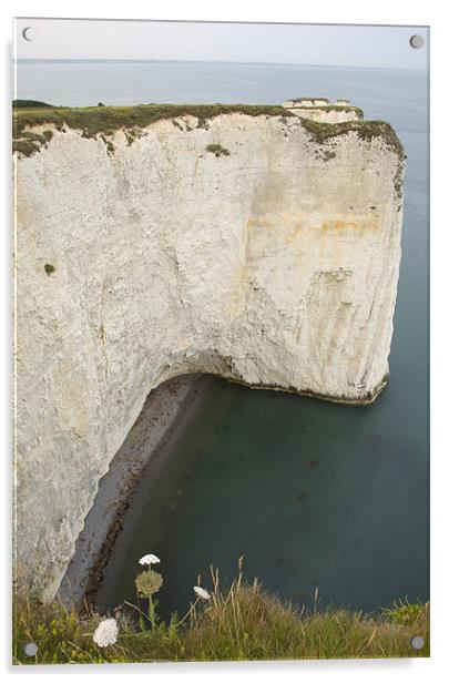 Jurassic coast Acrylic by Ian Middleton