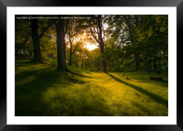Sunset at the forest Framed Mounted Print by Derrick Fox Lomax