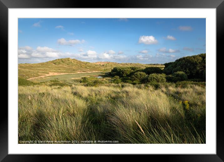 Braunton Burrows sand dunes Framed Mounted Print by Daryl Peter Hutchinson