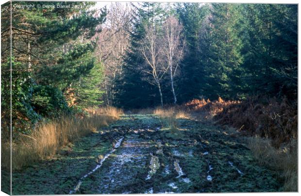 A Walk Through The New Forest #2 Canvas Print by Derek Daniel