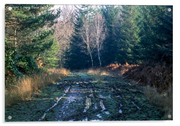 A Walk Through The New Forest #2 Acrylic by Derek Daniel