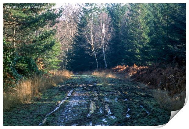 A Walk Through The New Forest #2 Print by Derek Daniel