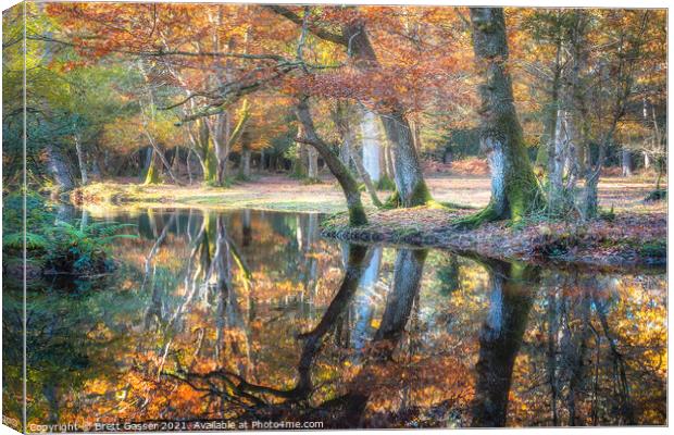 New Forest Reflections Canvas Print by Brett Gasser