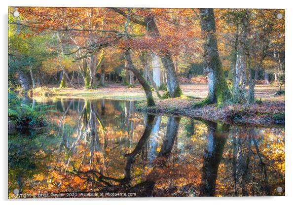 New Forest Reflections Acrylic by Brett Gasser
