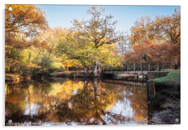 Autumn Bridge Acrylic by Brett Gasser