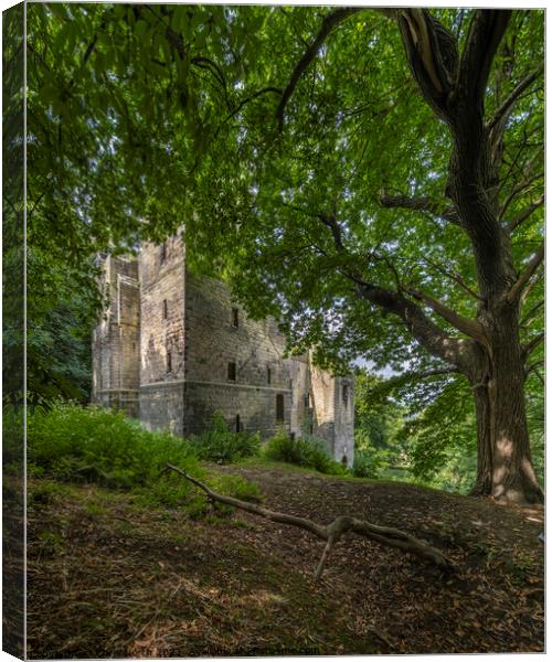 Harewood Castle. Canvas Print by Chris North
