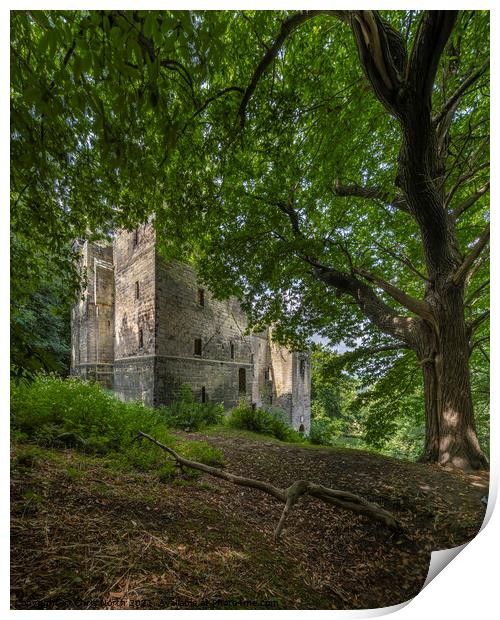 Harewood Castle. Print by Chris North