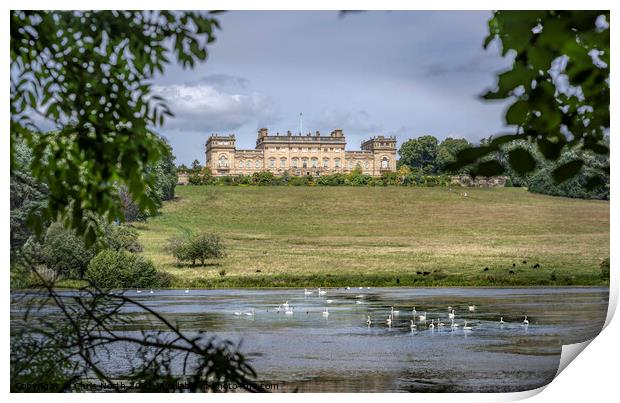 Harewood House, one of the Treasure Houses of Engl Print by Chris North