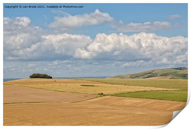Sussex Downs Serenity Print by Len Brook