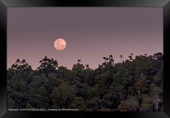 Matapouri Moonrise Framed Print by Errol D'Souza