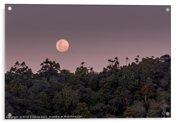 Matapouri Moonrise Acrylic by Errol D'Souza