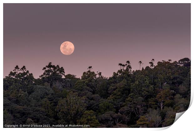 Matapouri Moonrise Print by Errol D'Souza