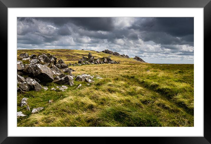 Preseli Hills, Pembrokeshire, Wales. Framed Mounted Print by Colin Allen