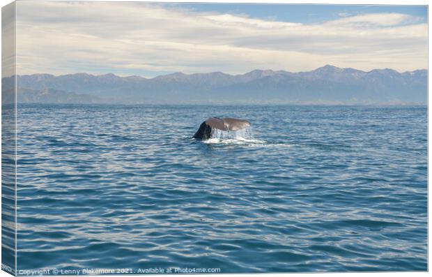 Sperm Whale  Canvas Print by Lenny Blakemore