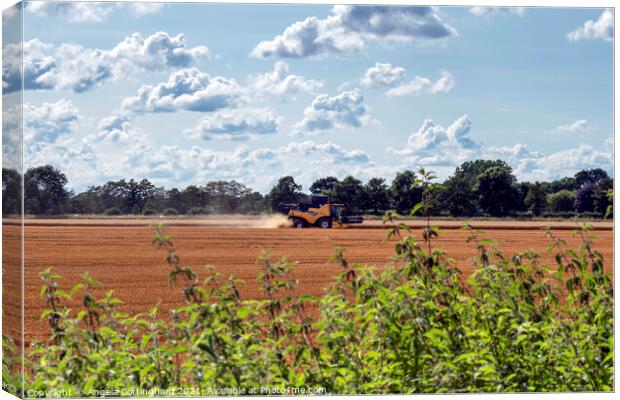 Harvest Time Canvas Print by Angela Cottingham