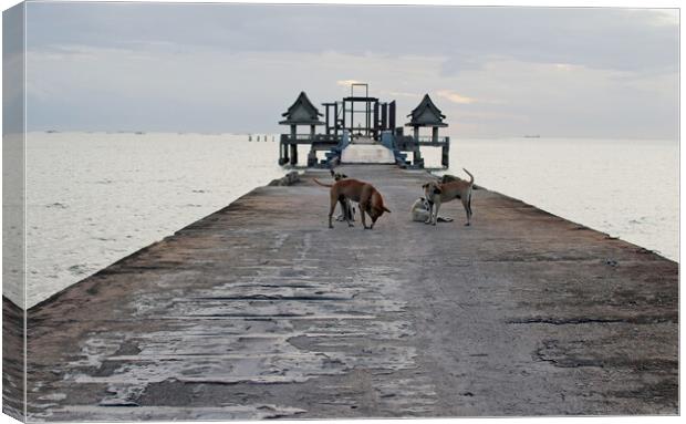 street dogs on the bridge, which leads to the never finished and abandoned Thai temple right on the Gulf in Thailand in the province of Chonburi Canvas Print by Wilfried Strang