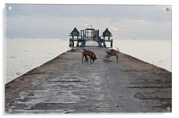 street dogs on the bridge, which leads to the never finished and abandoned Thai temple right on the Gulf in Thailand in the province of Chonburi Acrylic by Wilfried Strang