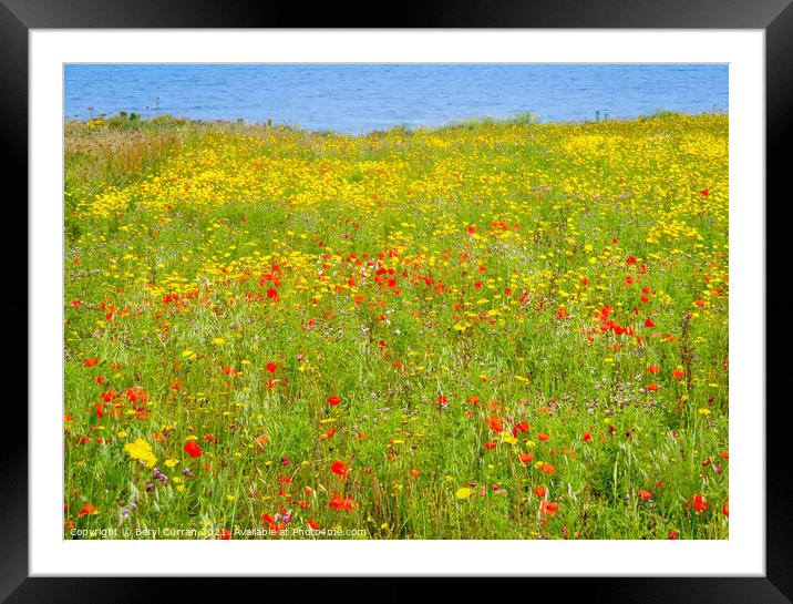 Tranquil Beauty of Wildflower Meadow and Blue Corn Framed Mounted Print by Beryl Curran