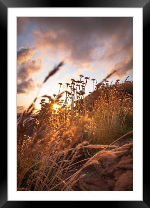 Sunset Thrift Framed Mounted Print by Liam Neon