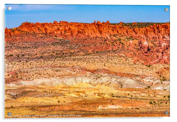 Painted Desert Orange Grass Sandstone White Sand Arches National Acrylic by William Perry