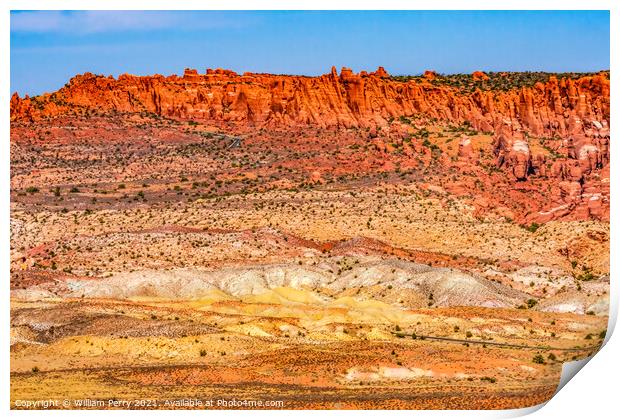 Painted Desert Orange Grass Sandstone White Sand Arches National Print by William Perry