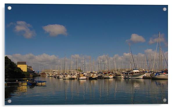 Turnchapel Harbour Acrylic by Luke Woods